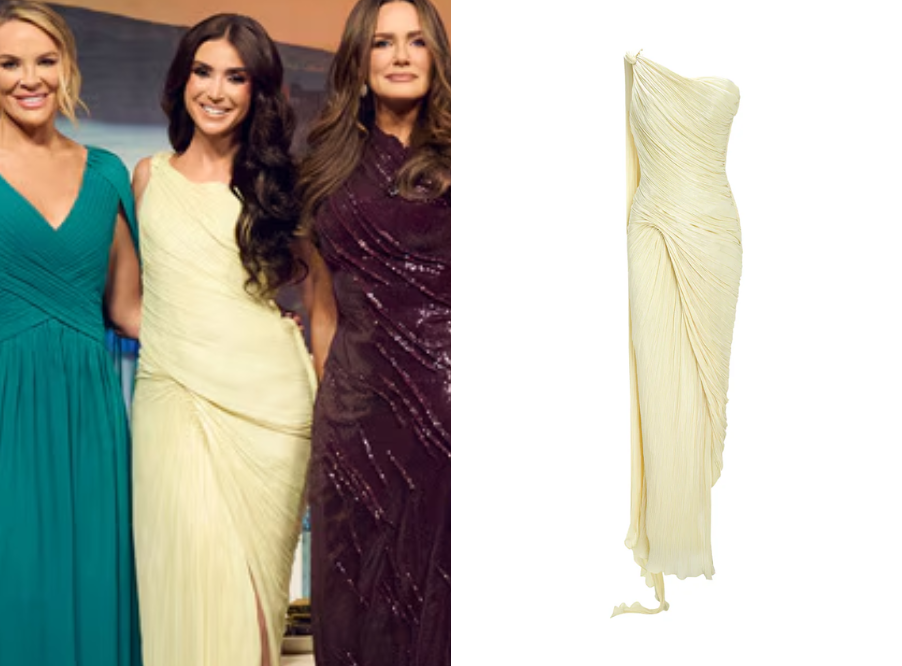 Real Housewives of Salt Lake City: Season 6 Reunion Bronwyn’s Silk Dress