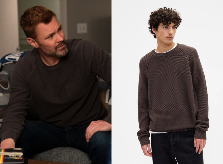 Chicago PD: Season 13 Episode 19 Adam's Brown Crewneck Sweater | Shop ...